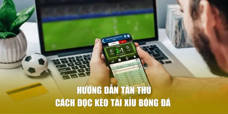 Hướng dẫn tân thủ cách đọc kèo tài xỉu bóng đá 